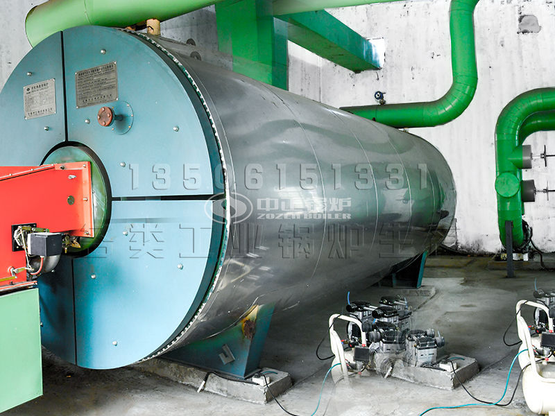 15噸燃?xì)庹羝仩t