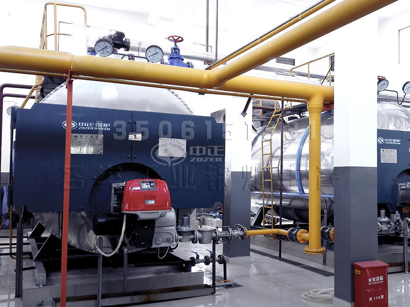 12t/h燃?xì)忮仩t